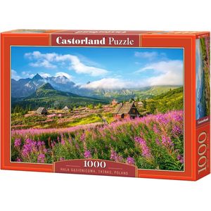 Castorland Legpuzzel Polen Karton - 1000 Stukjes
