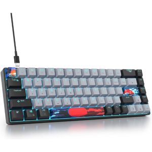 Draagbaar 65% Mechanisch Gaming Toetsenbord - 68 Toetsen Compact RGB Led Verlicht - Bedraad Toetsenbord Met Afneembare USB Type-C Kabel - Lineaire Rode Schakelaar - Voor Windows PC Mac