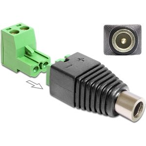 DeLOCK 65423 kabeladapter/verloopstukje DC 2.1 x 5.5 mm 2p Zwart, Groen