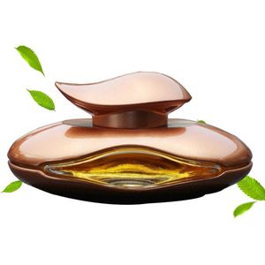 Auto-geurverspreider - Auto-etherische olie-diffuser voor luchtreiniging en aromatherapie - Autoluchtverfrissers en autoparfumaccessoires .