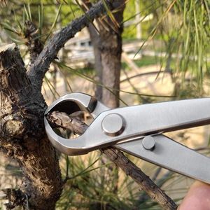 180 mm Roestvrij Stalen Knop Cutter Kogelschaar - Concave Tak Cutter Bonsai Tuingereedschap .