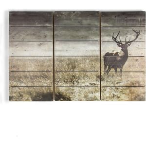 Art for the Homes-sPrint op Hout Set van 3 - Highland Hert - 60x90 cm