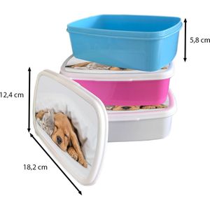 Broodtrommel Wit - Lunchbox - Brooddoos - huisdieren - hond - Kat - Deken - 18x12x6 cm - Volwassenen