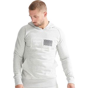 Superdry Train Core Capuchon Grijs S Man