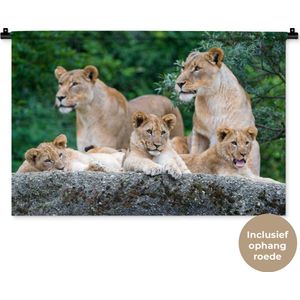 Wandkleed Leeuwen - Moeders en welpen Wandkleed katoen 90x60 cm - Wandtapijt met foto