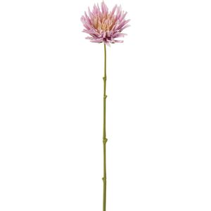 J-Line bloem Chrysant Mini - kunststof - wit/lichtpaars - 24 stuks
