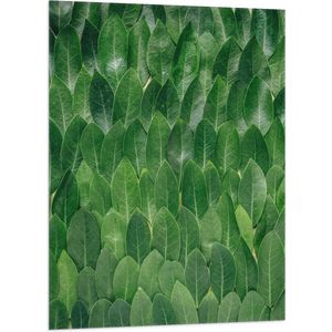 WallClassics - Vlag - Groene Blaadjes - 70x105 cm Foto op Polyester Vlag