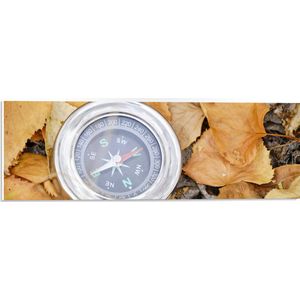 WallClassics - PVC Schuimplaat - Traditioneel Kompas op Stapel Herfstbladeren - 60x20 cm Foto op PVC Schuimplaat (Met Ophangsysteem)