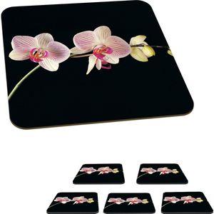 Onderzetters voor glazen - Orchidee - Bloemen - Zwart - Roze - Knoppen - 10x10 cm - Glasonderzetters - 6 stuks