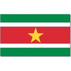 2x stuks vlag Suriname 90 x 150 cm feestartikelen - Suriname landen thema supporters