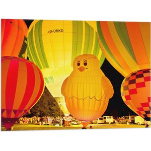 WallClassics - Vlag - Gekleurde en Verlichte Ballonnen - 80x60 cm Foto op Polyester Vlag