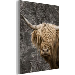 Wanddecoratie Metaal - Aluminium Schilderij Industrieel - Schotse hooglander - Wereldkaart - Dieren - 90x120 cm - Dibond - Foto op aluminium - Industriële muurdecoratie - Voor de woonkamer/slaapkamer