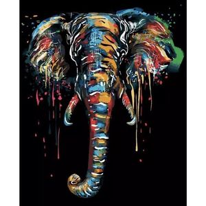 Painting Expert® Schilderen op nummer Volwassenen - Schilderen op nummer Kinderen - Zwarte Olifant met Kleuren - 40x50cm - Exclusief Lijst (24 kleurtjes)