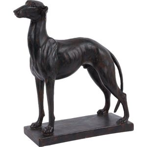 Baroque - Decoratief beeld of figuur - Fig. Hondenbeeld Greyhound - 32x27x10 - polyresin