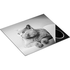 Chefcare Inductie Beschermer Grijze Kat met Oranje Ogen - Zwart Wit - 59x52 cm - Afdekplaat Inductie - Kookplaat Beschermer - Inductie Mat