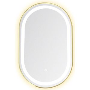 Badkamer Spiegel met verlichting 50 x 80 cm