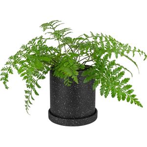 QUVIO Bloempot - Bloempot houder voor binnen - Plantenpot - Plantenhouder - Pot - Bloem potten - Tuinieren - Bloemen - Keramiek - Zwart met wit - 18 x 18,5 cm (dxh)