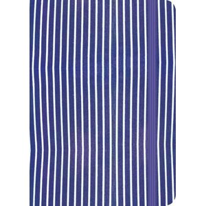 Carmyne's Journal A5 Tomoe River Notitieboek - Blue Stripes