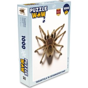 Puzzel Tarantula in gevangenschap - Legpuzzel - Puzzel 1000 stukjes volwassenen