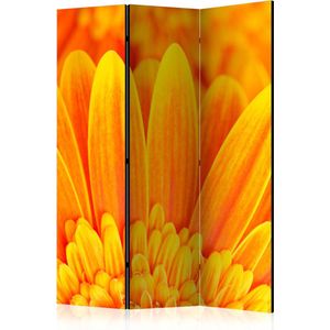 Kamerscherm - Scheidingswand - Vouwscherm - Yellow gerbera daisies [Room Dividers] 135x172 - Artgeist Vouwscherm