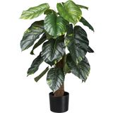 Kopu® Kunstplant Pilondendron Scandens 90 cm - Groen
