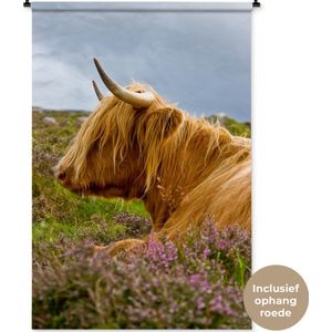 Wandkleed Schotse hooglander - Een Schotse hooglander ontspannend in een van de open velden Wandkleed katoen 120x180 cm - Wandtapijt met foto XXL / Groot formaat!