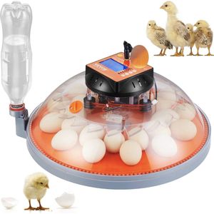Broedmachine - Incubator - Reptielen - Egg Incubator - Ei incubator - 25L - Koeling En Verwarming - 5-60 °C - Zwart