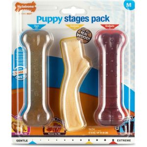 Nylabone Puppy Stages Pack Medium Medium