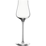 Leonardo Brunelli Grappa glas 210ml - set van 6 glazen