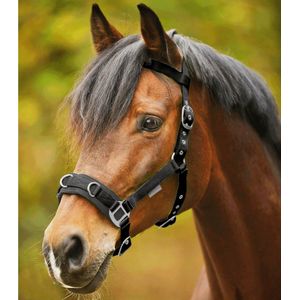 Waldhausen Longeerhalster Economisch Pony Zwart