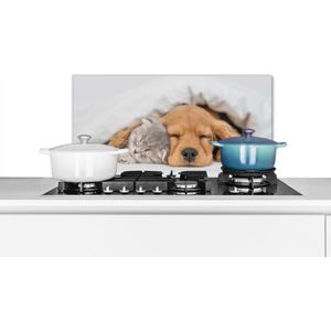 Spatscherm - Kat - Hond - Poes - Honden - Deken - Dieren - 60x30 cm - Keuken decoratie - Muurbeschermer - Spatwand keuken - Spatscherm dieren