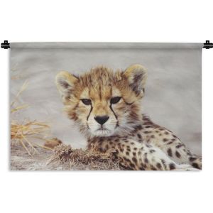 Wandkleed Roofdieren - Close-up jonge cheetah Wandkleed katoen 180x120 cm - Wandtapijt met foto XXL / Groot formaat!
