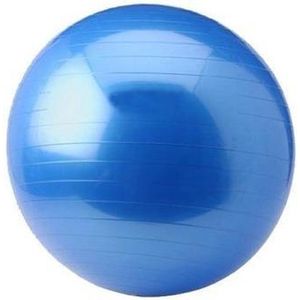 Focus Fitness - Yoga Bal - Fitness Bal - 55 cm