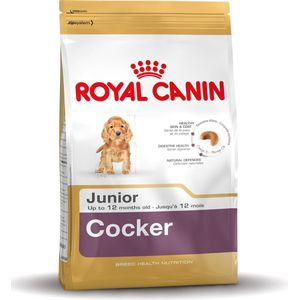 Royal Canin Cocker Junior - Hondenvoer - 3 kg