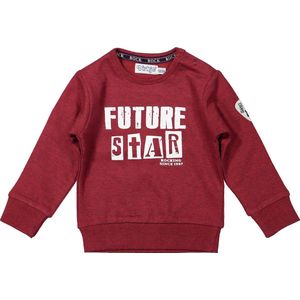 Dirkje Sweater Future - Maat 86