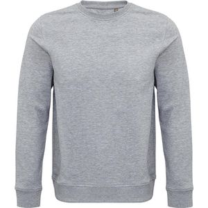 SOLS Unisex Volwassen Comet Biologisch Sweatshirt (Grijze Mergel)