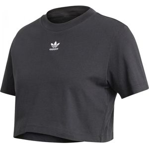 adidas Originals Cropped Tee T-shirt Vrouwen Zwarte 42