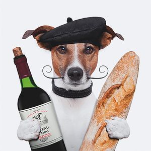 3D wenskaart french dog