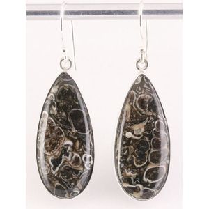 Lange druppelvormige zilveren oorbellen met turitella agaat