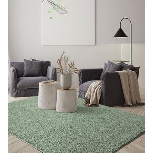 Vloerkleed 200x290 hoogpolig - Groen - Wasbaar met Antislip onderkant - FOXY Shaggy by The Carpet