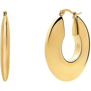 Lucardi Dames Stalen goldplated oorbellen plat glad - Oorbellen - Staal - Goudkleurig