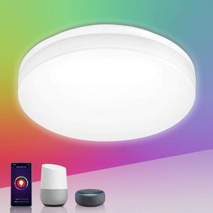 Badkamer Plafondlamp - Plafondlamp 15W Smart WiFi dimbare LED Ø22cm - RGB koud warm wit 2700-6500K IP54 - Alexa Google Home - geen hub nodig