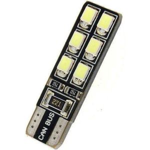 T10 - 12 LED - 2016 - canbus - double sided lamp - 12 volt - 2 stuks