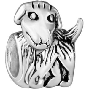 Quiges - 925 - Zilveren - Bedels -Sterling zilver - Beads - Hond Kraal Charm - Geschikt – voor - alle bekende merken - Armband Z033