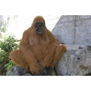 Orang Oetan Knuffel, 75 cm, Hansa