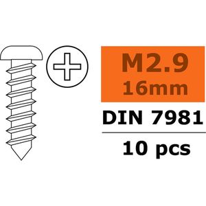 Revtec - Zelftappende cilinderkopschroef - 2,9X16mm - Gegalvaniseerd staal - 10 st