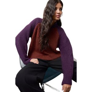 Trendyol Zwarte Gebreide Trui Met Kleurblokken En Ritssluiting Twoaw25Kz00179