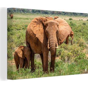 OneMillionCanvasses - Canvas - Olifanten - Olifant - Baby olifant - Grasvlakte - Muurdecoratie - 30x20 cm - Kamer decoratie