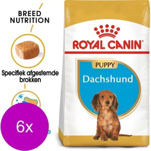Royal Canin Bhn Dachshund Puppy - Hondenvoer - 6 x 1.5 kg