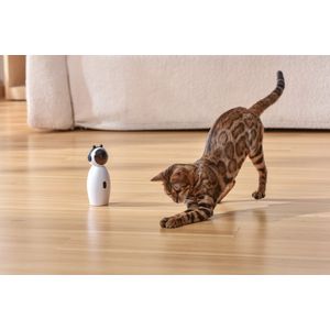 Kat laser - Interactieve Katten Speelgoed - USB oplaadbaar - Tegen Verveling - Voor een Gezonde Kat